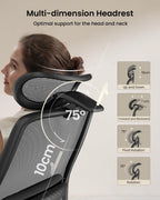 ProtoArc EC200 Ergonomic Office Chair - High Back Computer Desk Chair with 2-Way Adjustable Lumbar Support, Seat Depth & 3D Headrest, Mesh Swivel Desk Chair for Home & Office, Black