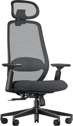 ProtoArc EC200 Ergonomic Office Chair - High Back Computer Desk Chair with 2-Way Adjustable Lumbar Support, Seat Depth & 3D Headrest, Mesh Swivel Desk Chair for Home & Office, Black